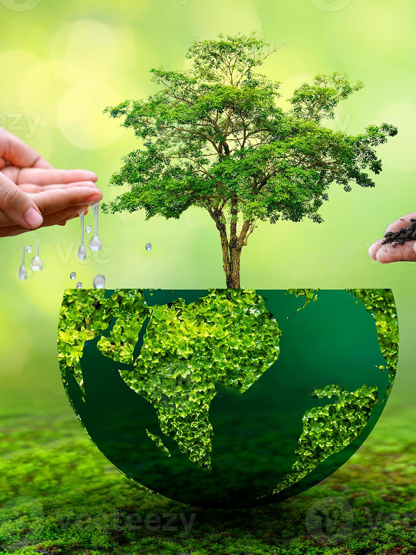 Our tours support local communities by partnering with businesses that promote ethical tourism